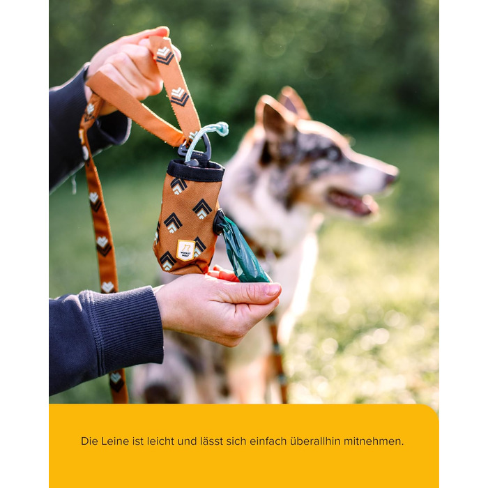 Вольф Sea to Summit Leine 1,5 м - міцна нашийова стрічка для собак з переробленого поліестеру та нержавіючої сталі, навчальна повід для прогулянок та дресирування