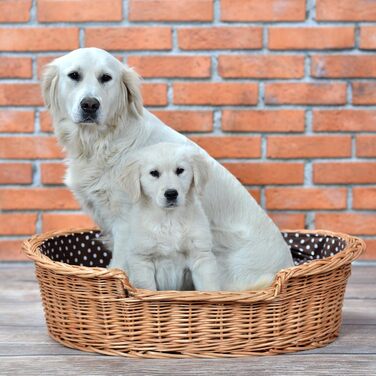 Wicker dog basket for dogs and cats. Dog bed, cat bed with cushion, pet basket, woven cat basket. 60x43 H19 cm (L 80 x W 60 x H 26 cm, Natural)