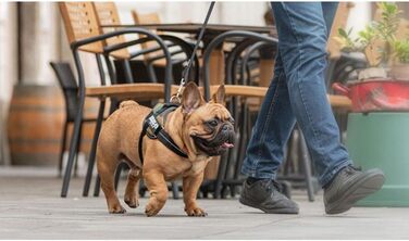 Набір посуду IDC Powergeschirr, розмір M/0, камуфляж (1 шт.)