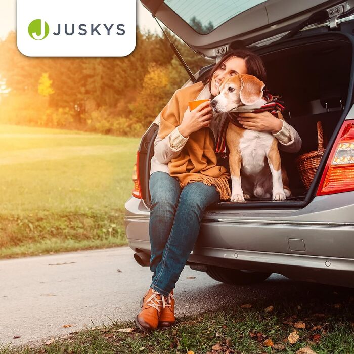 Juskys Collapsible Dog Carrier Box with Blanket, Bag & Handles - Portable Dog Travel Box for Dogs, Cats & Pets - Oxford Fabric Dog Crate, Car Pet Carrier - Grey (70x50x52 cm)