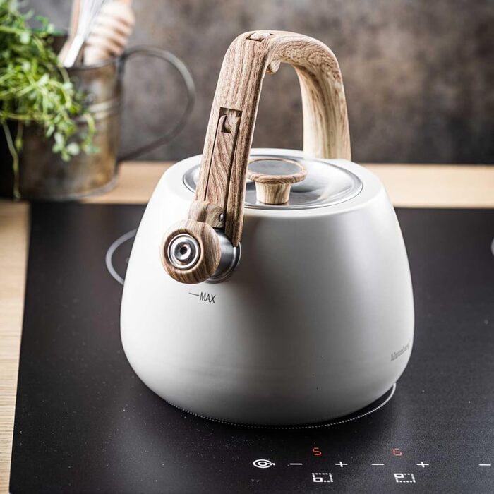 Чайник зі сталі 2.5L Induktion (Крем)