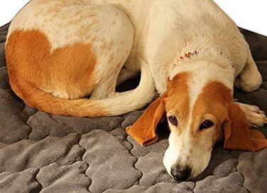 Антиалергенний коврик для собак GGM 100x120 см – швидковисихаючий, м'який, для собак, стійкий до бліх та кліщів, антрацитовий колір