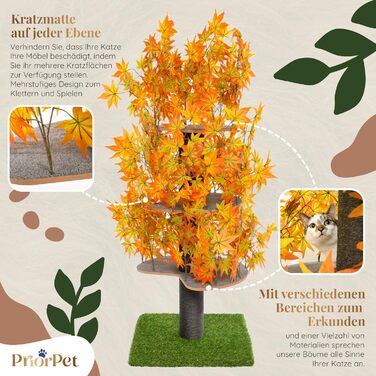 Дерево для котів Kratzbaum Natur - багатоярусне, з висувними елементами, 160 см, безпечні матеріали, патентована міцність