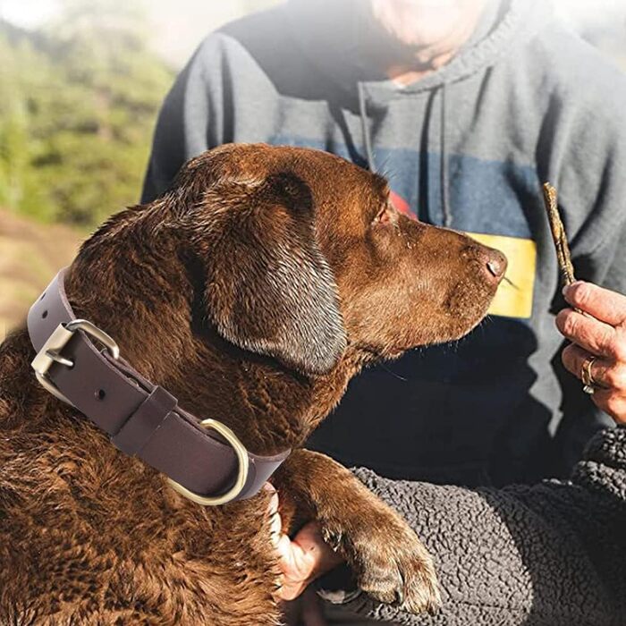 Нашийник для собак з м'якої натуральної шкіри - для малих, середніх та великих собак