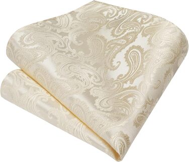 Краватка та нагрудна хустинка Enlision для весілля: шовковий комплект Paisley з латунними застібками для манжетів, бежевий/шампань