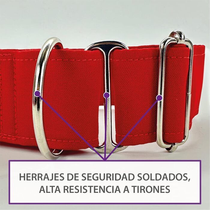 Нашийник для собак Galguita Amelie з принтом черепа, 4 см, розмір M (30-39 см), для собак Мартінгейл