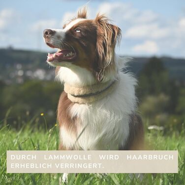 Інноваційний нашийник для собак Chris з ланолінової вовни, зменшує випадіння шерсті, з підкладкою, світловідбиваючий, регульований, для собак малого, середнього та великого розміру. Розміри: M (35-45 см), L (45-55 см), XL (55-65 см). Колір: кремовий