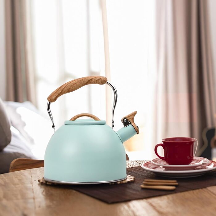 Чайник Wisebom Flötenkessel 3L: Ретро модель з нержавіючої сталі для індукційних та газових плит, з дерев'яною ручкою. Ідеально для чаю та кави.