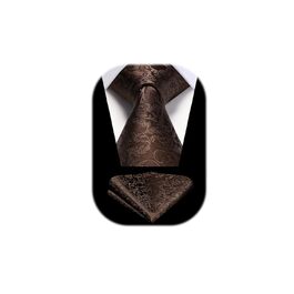 Краватка для чоловіків HISDERN з кишеньковим хустинкою, патерн пейслі, формальний стиль, класична краватка та хустинка, колір: коричневий