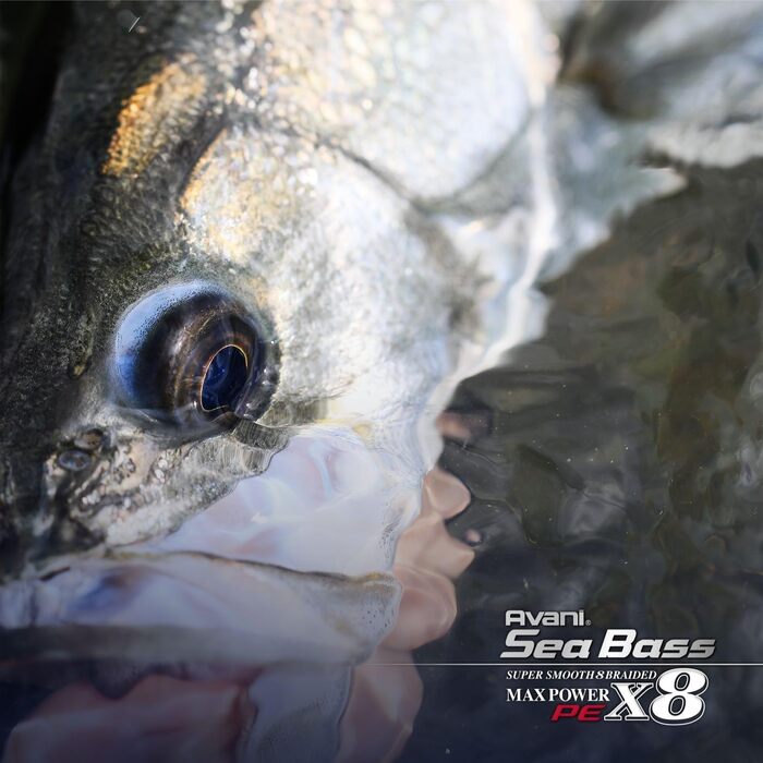 VARIVAS Avani Sea Bass Max Power PE x8