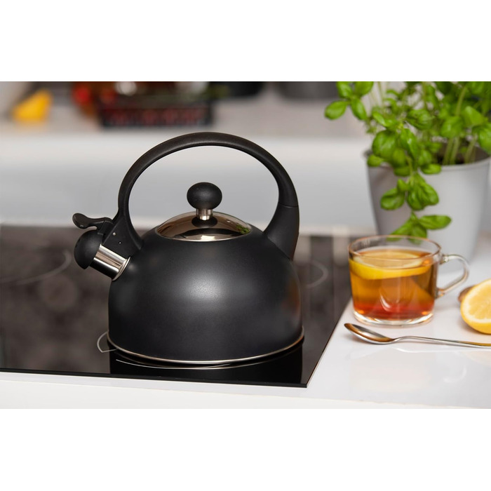 Чайник електричний Galicja Molly з нержавіючої сталі, 1.7л, зелений (антрацит)