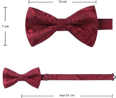 HISDERN Комплект краватка-метелик з кишеньковим хустиком та запонками, з гачком, регульована, вже зав'язана, для весілля, свят, Різдва, Хелловіна, бордовий A1