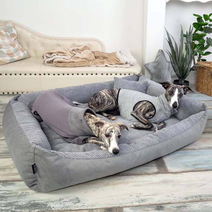 Клітка-лежанка для котів та собак 60x40 см, Graphit (4L Textil Teo)