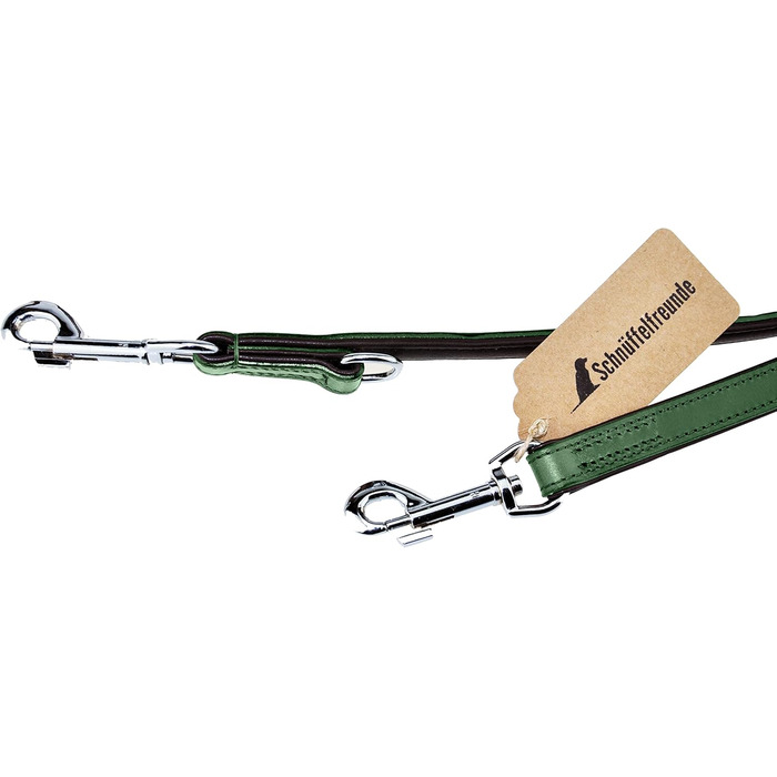 Leather Dog Leash - Training Leash - Leather Leash for Dog - Leash 3-Way Adjustable, for All Dogs (230cm, Green)
