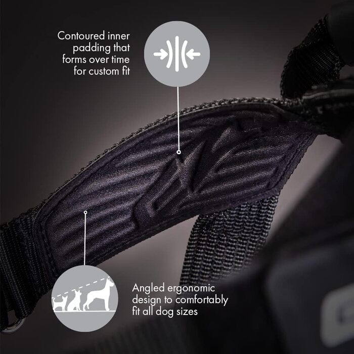 Шлейка для собак EzyDog Express - для маленьких, середніх та великих собак, світловідбиваюча, регульована, з м'якою підкладкою. Ідеально підходить для бігу та їзди на велосипеді (XS, Чорний). XS (42-53 см), Чорний