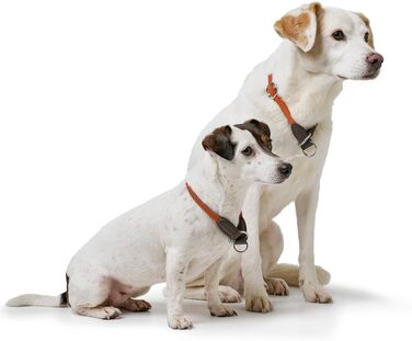 Нашийник для дрессури HUNTER FREESTYLE, червоний, розмір M. Міцний, з нейлоновим тросом, стійкий до погодних умов, для тренувань та повсякденного використання.