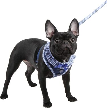 Нашийник для собак Пуппія Вівьєн, блакитний, S - регульований, м'який, для цуценят, антигризущий