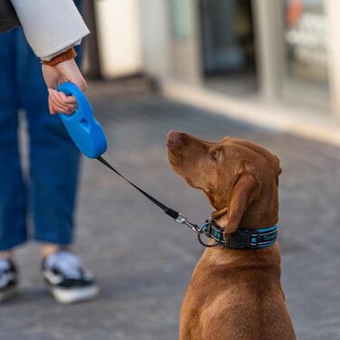 Рулетка для собак Ferplast Flippy ONE, червона, до 25 кг, 5 м