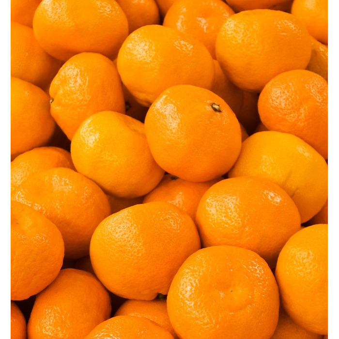 Парфумована вода Yodeyma Cheante для жінок, 50 мл