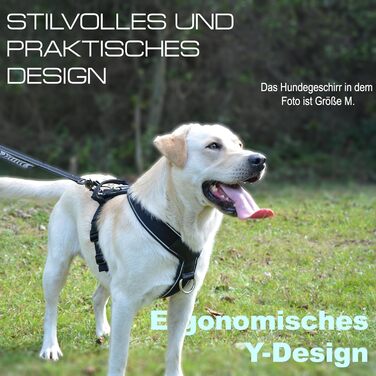 Нашийник для собак ILII Y - міцний, елегантний та комфортний. Унікальний дизайн для середніх та великих собак. Чорний, мінімальне покриття