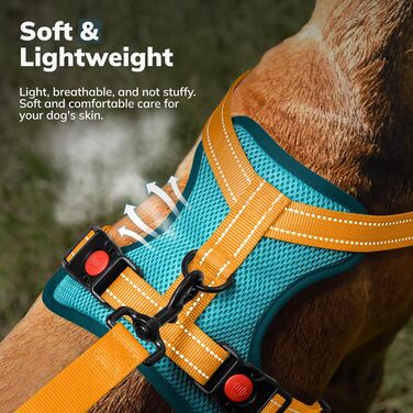 Шлейка для собак FAYOGOO, без чіпкості, з переднім кріпленням, світловідбиваюча, регульована, м'яка, з підкладкою, для малих, середніх та великих собак, для прогулянок (Блакитна, S)