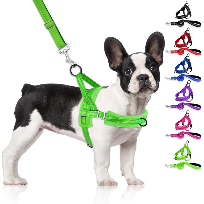 Нашийник для собак LowTon з повідком, анти-тягнучий, відбиваючий, безпечний, проти заплутування, для маленьких та середніх собак та цуценят, чорний (XXS, темно-зелений)