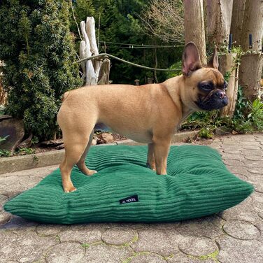 4L Textil ZOE - Лежанка для собак, м'яка, з блискавкою, 80x60 см, бежева (смужки)