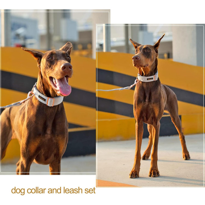 Набір повідка та нашийника для собак Aring PET, нашийник та повідок для собак, регульований набір повідків та нашийників для хлопчиків та дівчаток, темно-зелений (XS, сріблясто-сірий)