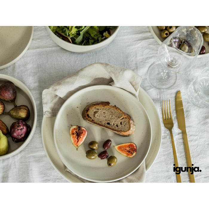 Igunga Stoneware Dinnerware Set - 12 Piece Service for 4 | Reactive Glaze Bowls & Plates - Premium Handcrafted Tableware (Beige)