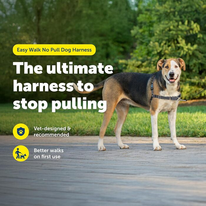 Нашийник для собак Petafe Eay Walk, запобігає потягування, чорний, XL