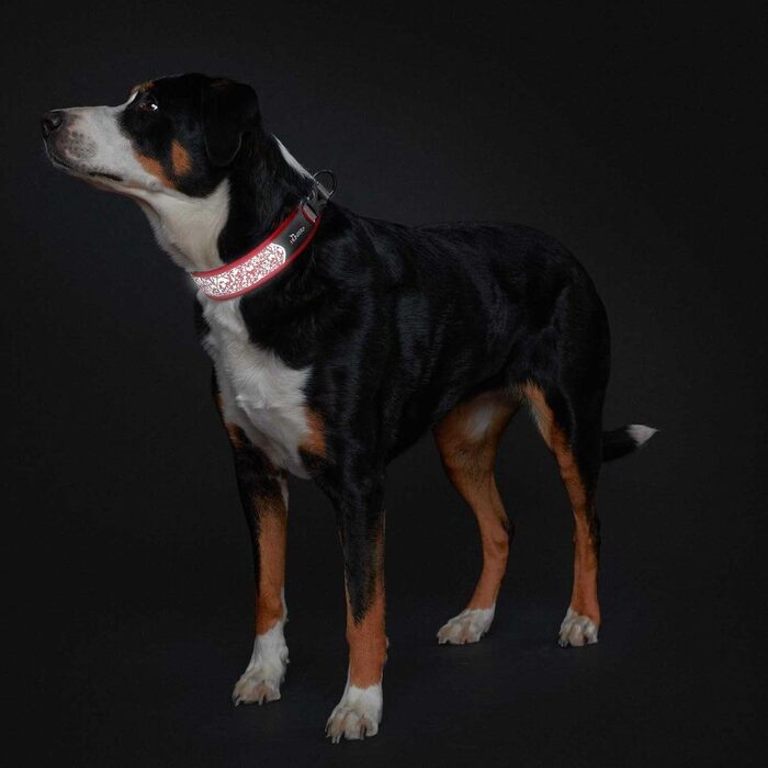 Шолом велосипедний HUNTER Divo Reflect сірий (червоний, S)