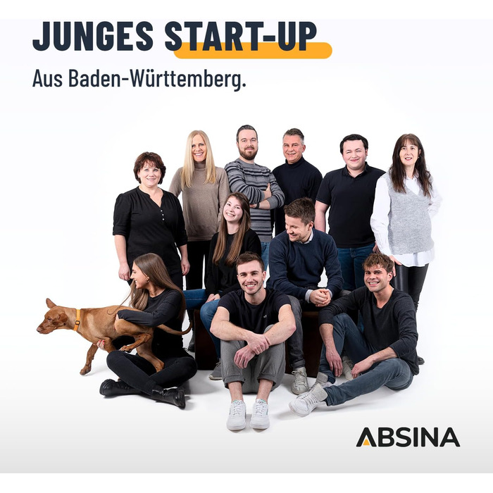 Зарядний пристрій ABSINA X10 для акумуляторів AA, AAA та 9V - 10-портовий зарядний пристрій для NiMH акумуляторів