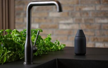 Zone Denmark Singles Dish Soap Dispenser Kitchen, Soap Dispenser, Dish Soap Dispenser, Easy to Refill & Easy Dosing, Ø 7 cm, Height 15 cm, Capacity 300 ml, Black