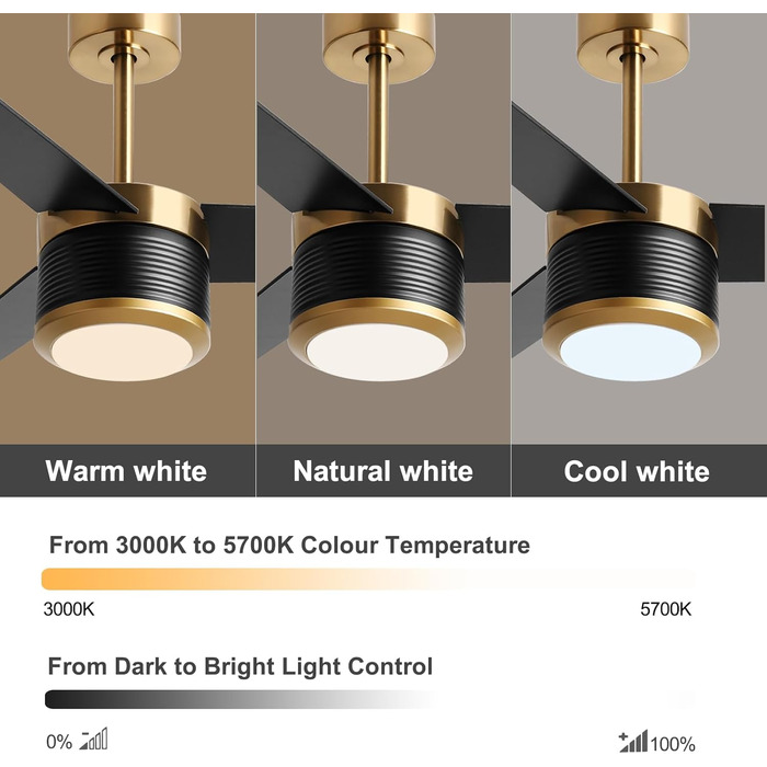 Стеляний вентилятор Reiga з підсвічуванням, 165 см, масивне дерево для зовнішнього використання IP44, регульована LED-лампа та DC-двигун, сумісний з Alexa & Google Home з пультом дистанційного керування (Чорний, Дерев'яний)