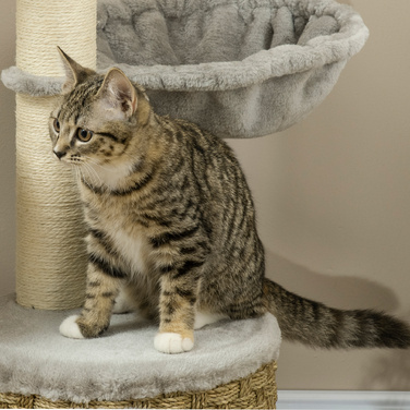 PawHut Драбина для котів 1155 см, котячий комплекс з будиночком та гамаком для кошенят світло-сірого кольору