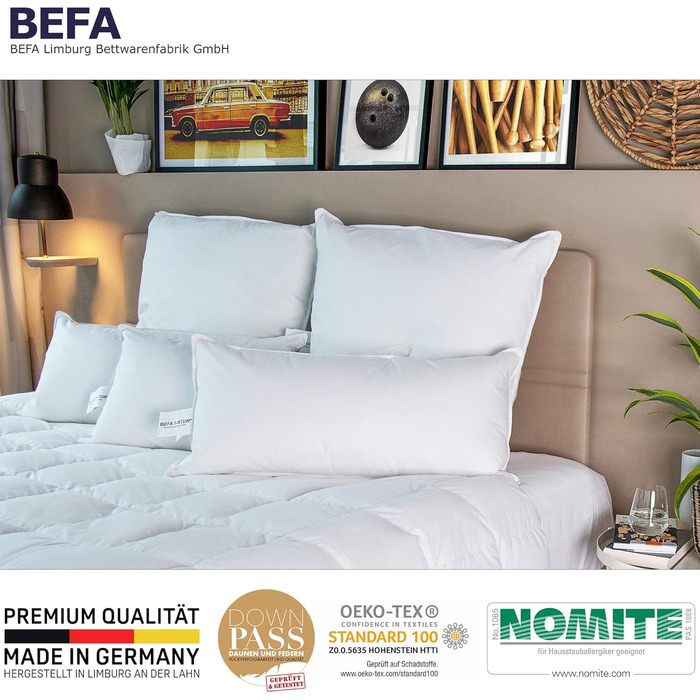 Подушка BEFA NATUR 40x80 см, 3-камерна, 90% пух, 10% перо, антиалергенна, сертифікат OEKO-TEX 100, Downpass, вироблено в Німеччині