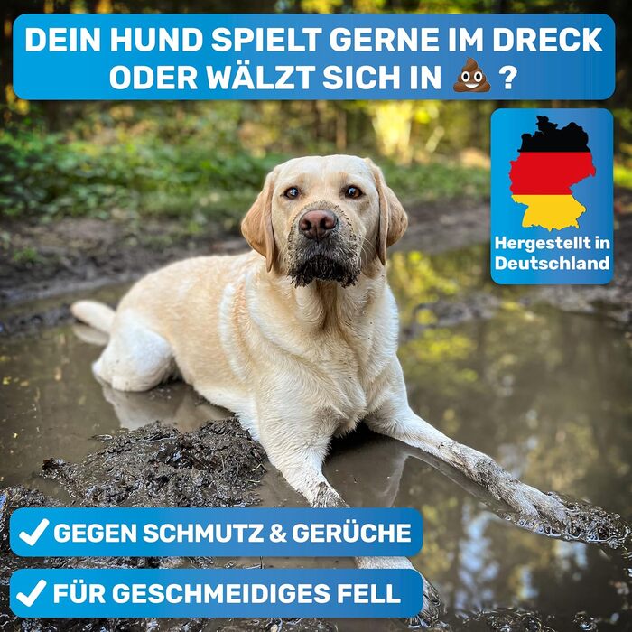 Щітка для собак та котів з довгим хутром BluePet: видаляє підшерстя та ковтуни, захищає верхній шар, ідеально для линьки (M-L породи, M-L + шампунь)