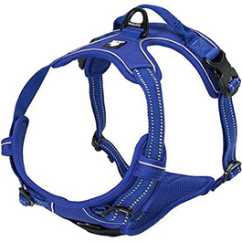 колір: кельнський синій