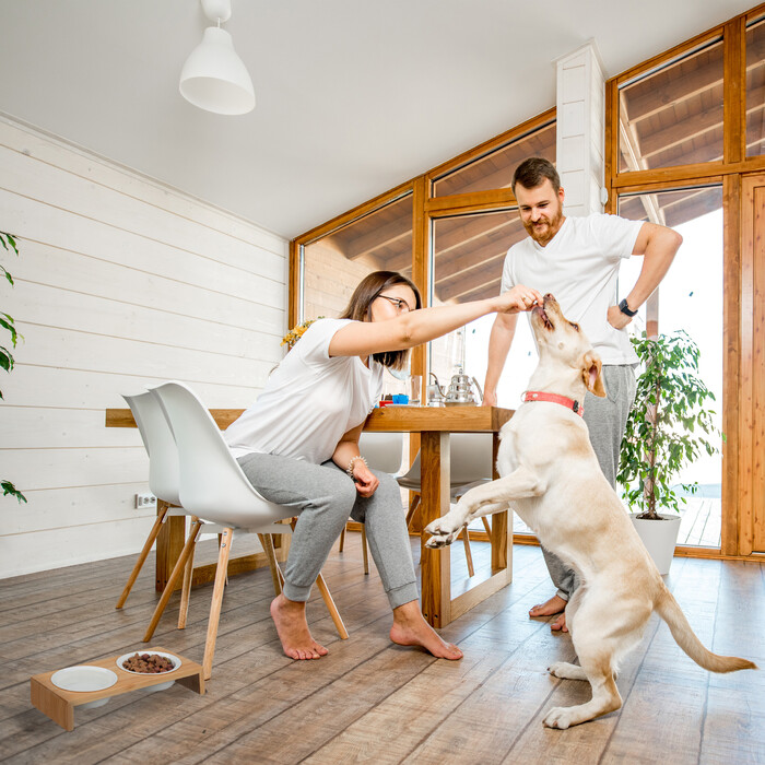 Relaxdays Dog Feeding Station