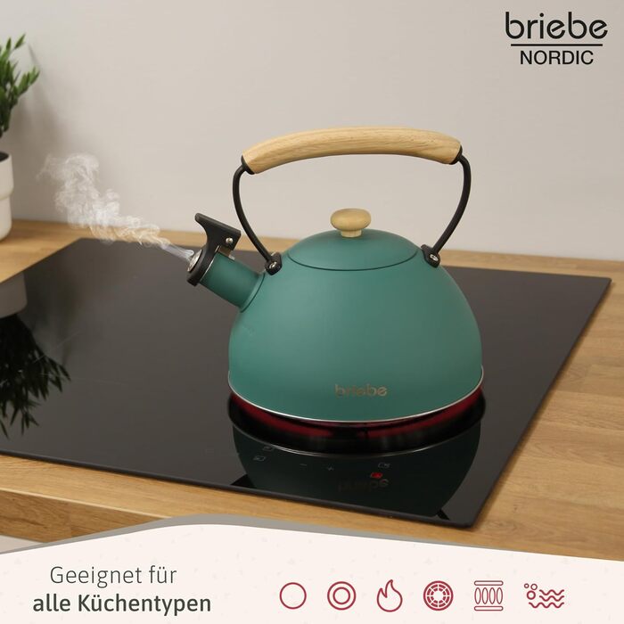 Чайник Nordic Wasserkessel Induktion 2.3L з нержавіючої сталі, з свистком, для чаю та кави, сумісний з усіма типами плит (індукційні, склокерамічні, газові, електричні), з дерев'яною ручкою Cool-Touch, ретро дизайн, зелений