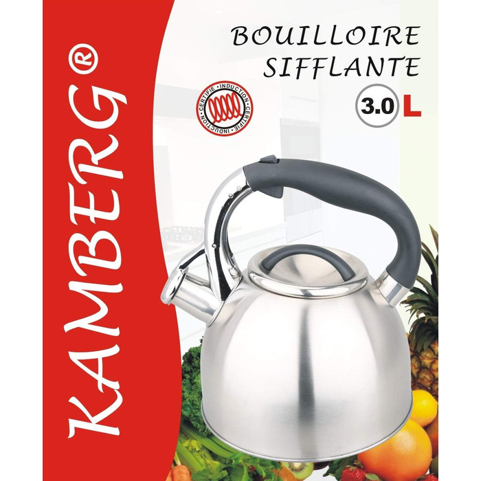 Камберг – чайник/заварник 3 літри, нержавіюча сталь, ергономічна ручка, для всіх типів плит (в т.ч. індукційних), сірий дизайн