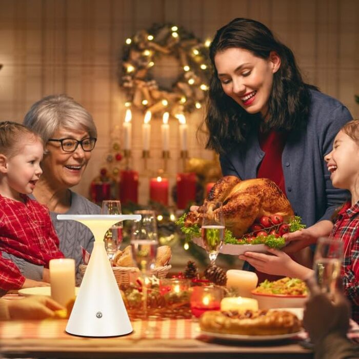 Настільна LED лампа акумуляторна бездротова 2 в 1 (індор/аудор) з димером, сенсорна, 3 кольори, біла (1 шт)