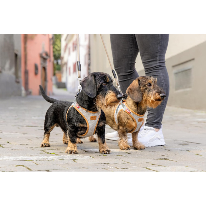 Шлейка для собак Alpine Curli Clasp Vest Harness Light Gray S