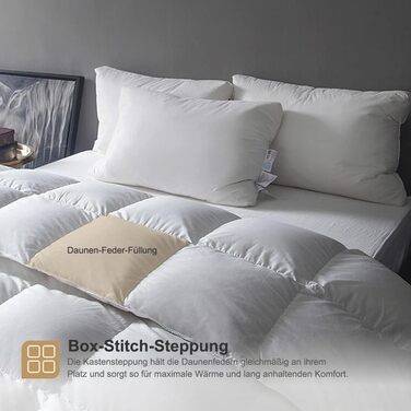 DWR Down Comforter 220x240cm, medium all-season duvet 100% organic cotton, transitional duvet 220x240cm, down and feather comforter, Oeko-TEX certified, White King / 220 x 240 cm White / All-season duvet