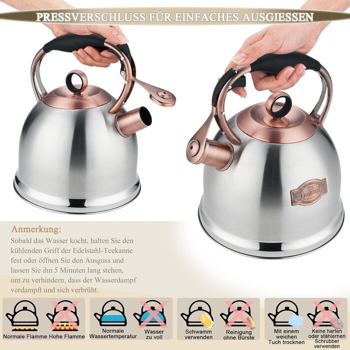 Чайник-свисток 3л з нержавіючої сталі, індукційний, з термостійкою ручкою (срібний)