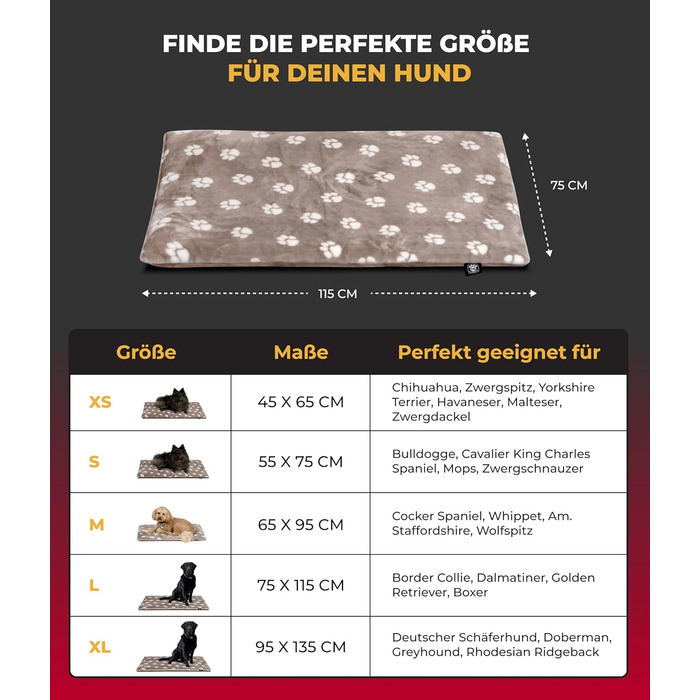 Підстилка для собак XS (45x65 см) – двостороння та зручна з наповнювачем 3 см – ідеальна для дивану, авто та переноски – Made in Germany (75 x 115 см, Tatze Beige)