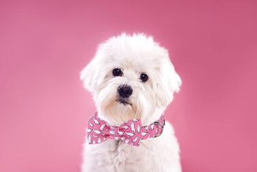 Елегантний нашийник Lionet Paws для собак з краваткою, бавовна, зручний, з металевим замком, розмір 40-66 см, Ghost