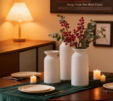 Керамічні вази 3 шт., сучасний мінімалізм, декор для дому, вази для пампасних трав, вітальня (12 білий)