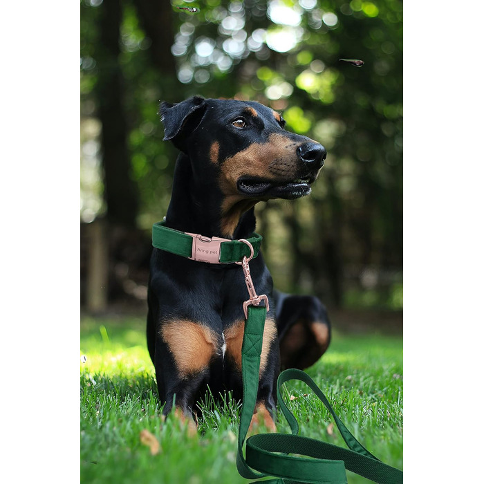 Набір повідка та нашийника для собак Aring PET, велюровий, зручний, регульований, для цуценят та собак, темно-зелений