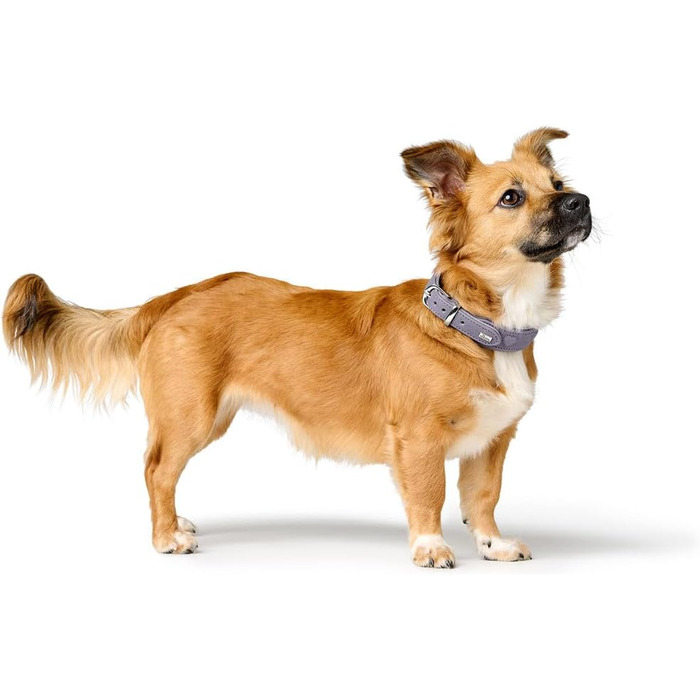 Нашийник для собак HUNTER SOHO X Love, фіолетово-сірий, з натуральної шкіри, м'який, з сердечками, для маленьких собак та цуценят, Made in Germany, розмір 42